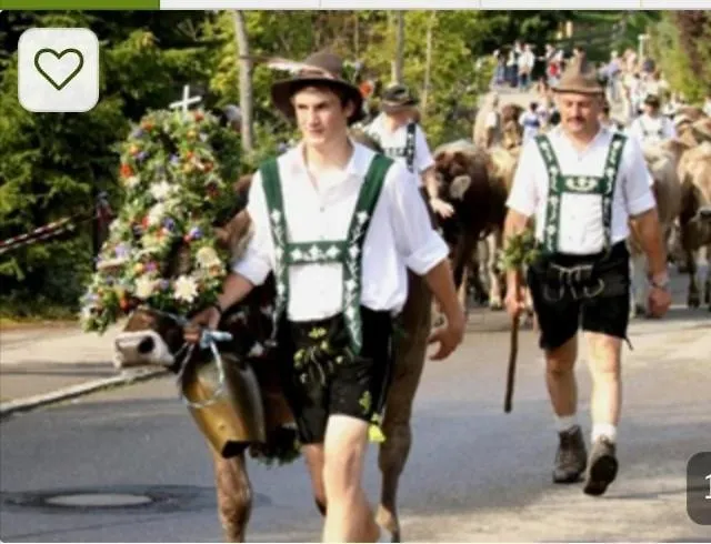 Oberallgaeu - 