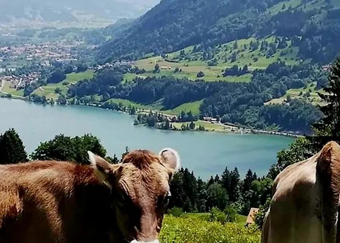 Oberallgaeu - 