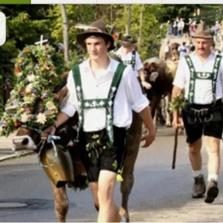Oberallgaeu - 
