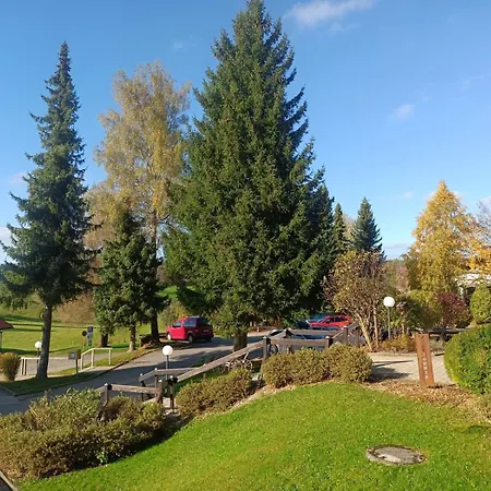 Oberallgaeu - 