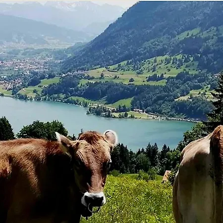 Oberallgäu - Klatschmohn Hallenbad&sauna&wlan